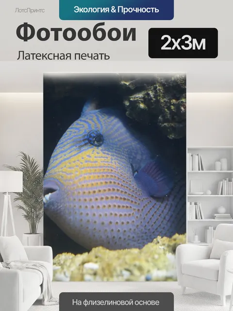 200 × 300 см · Латексная печать