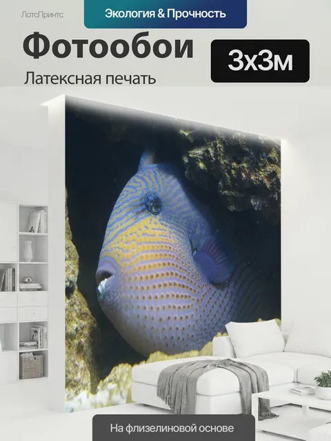 300 × 300 см · Латексная печать
