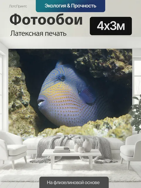 400 × 300 см · Латексная печать