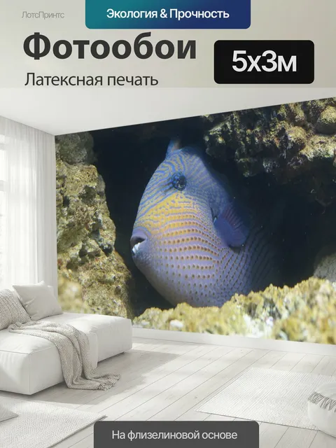 500 × 300 см · Латексная печать