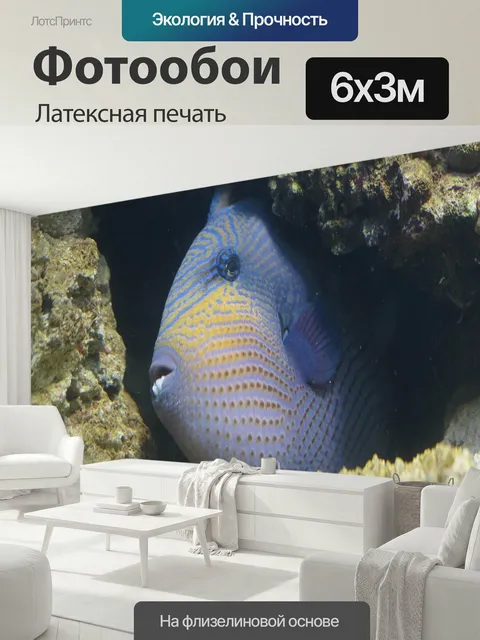 600 × 300 см · Латексная печать