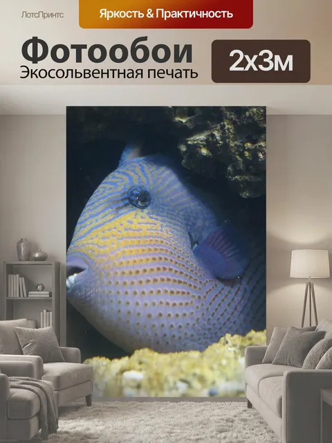 200 × 300 см · Экосольвентная печать