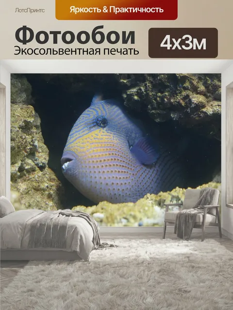 400 × 300 см · Экосольвентная печать