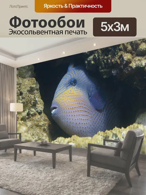 500 × 300 см · Экосольвентная печать