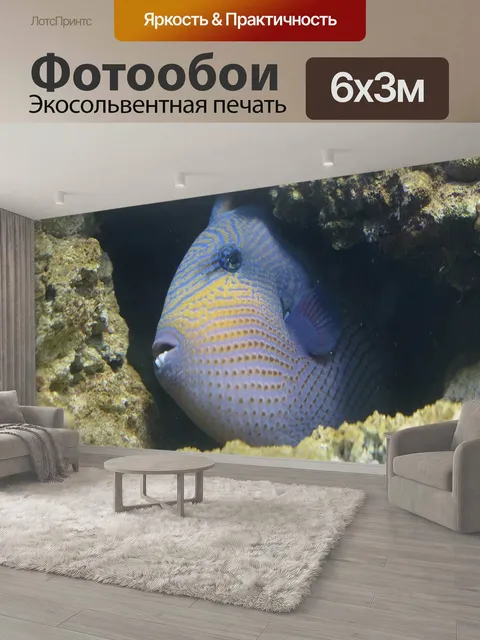 600 × 300 см · Экосольвентная печать