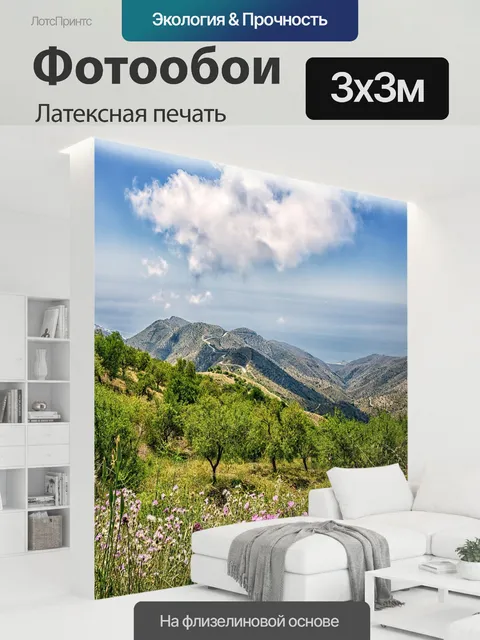 300 × 300 см · Латексная печать