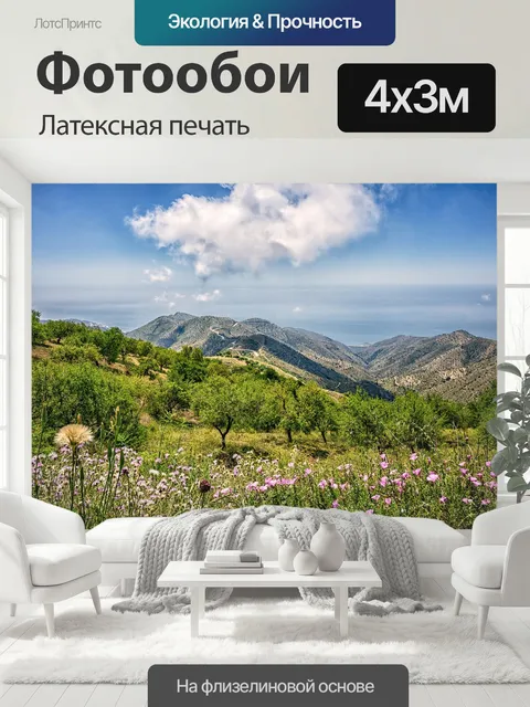 400 × 300 см · Латексная печать