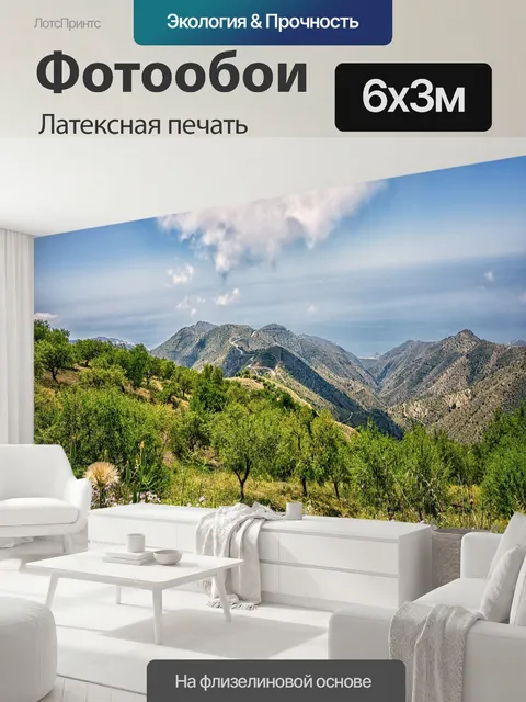 600 × 300 см · Латексная печать