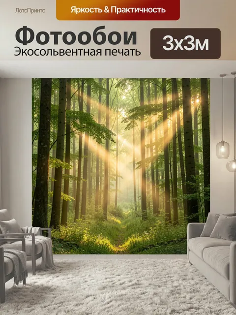 Фотообои Солнечный лес с лучами света