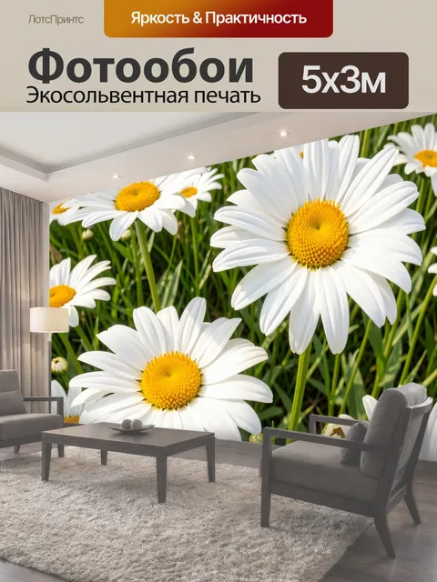 Фотообои Ромашковое поле крупным планом