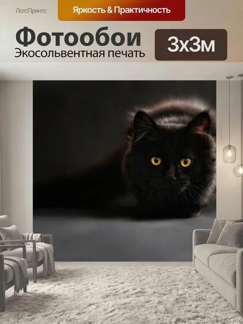 Фотообои Мейн кун, кошка, кошачьи глаза