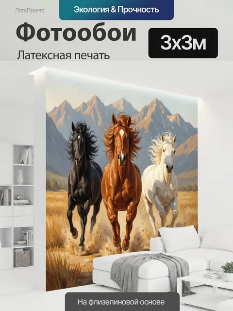 300 × 300 см · Латексная печать
