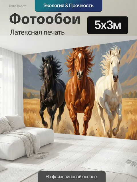 500 × 300 см · Латексная печать