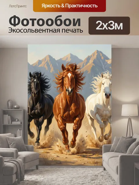 200 × 300 см · Экосольвентная печать