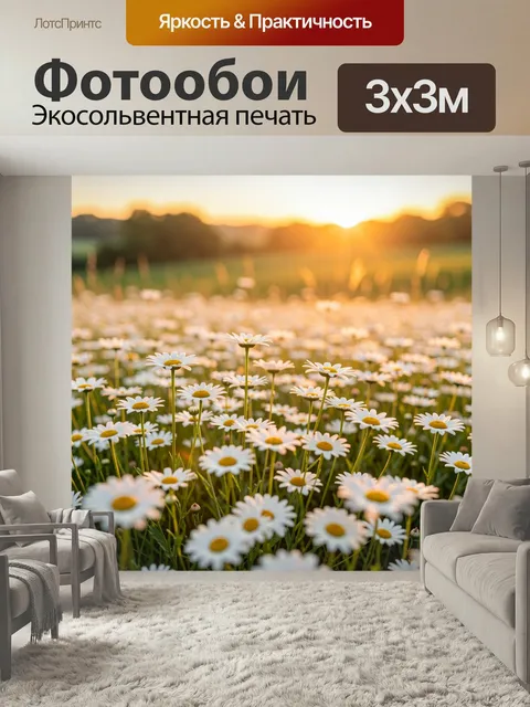 Фотообои Поле ромашек на закате. Нежный природный сюжет с белыми полевыми цветами в лучах золотого вечернего солнца, м…