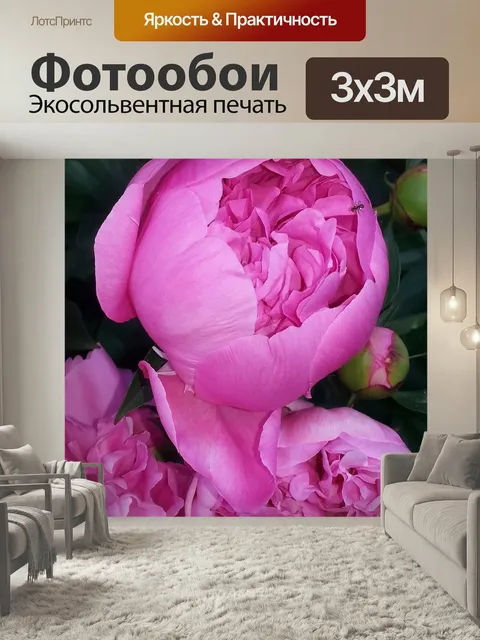 Фотообои Пион, розовый, сад