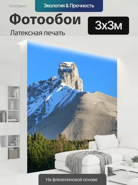 300 × 300 см · Латексная печать