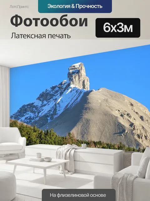 600 × 300 см · Латексная печать