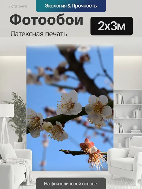 200 × 300 см · Латексная печать