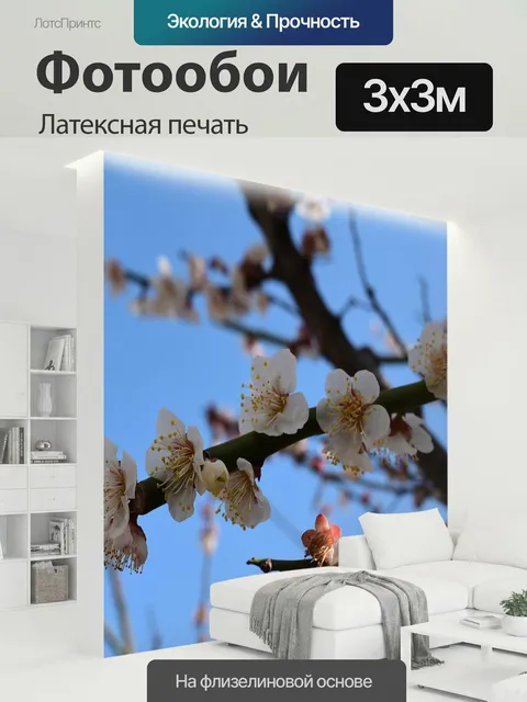 300 × 300 см · Латексная печать