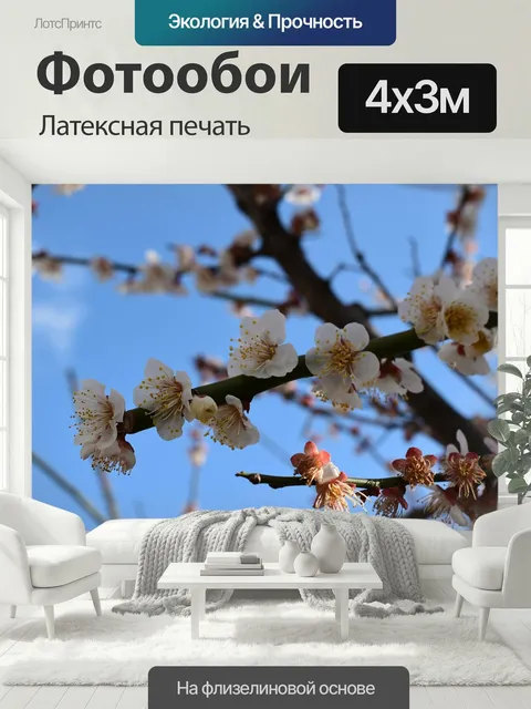 400 × 300 см · Латексная печать