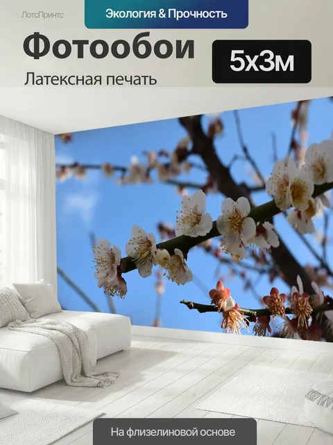 500 × 300 см · Латексная печать