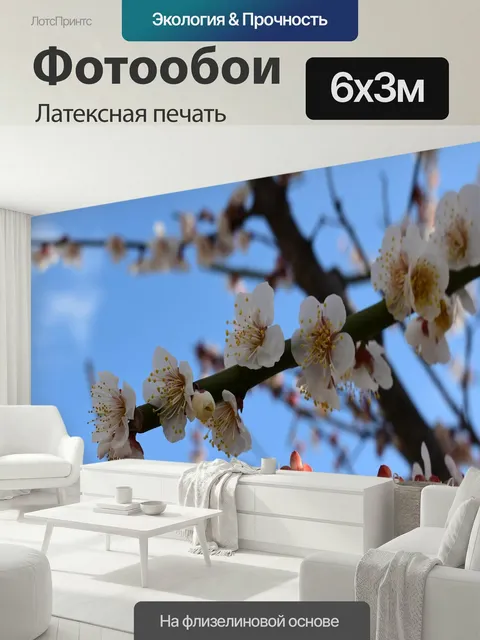 600 × 300 см · Латексная печать