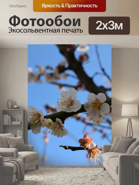 200 × 300 см · Экосольвентная печать
