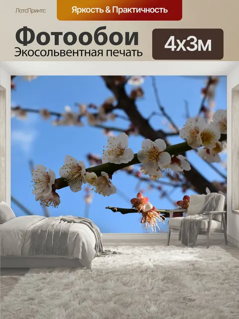 400 × 300 см · Экосольвентная печать
