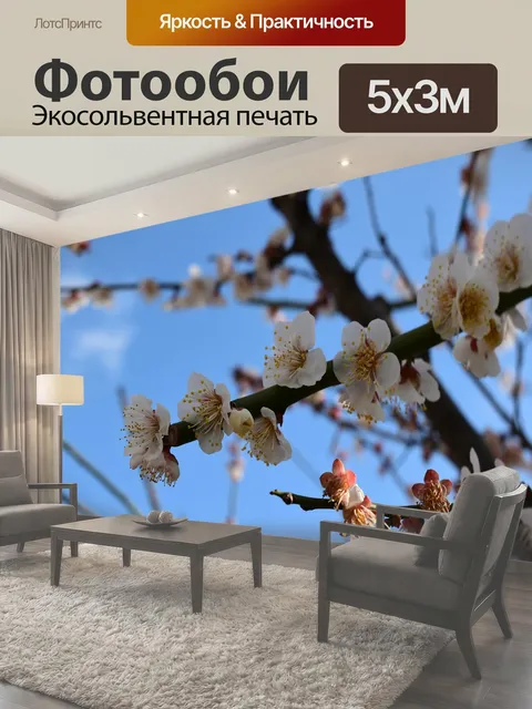 500 × 300 см · Экосольвентная печать