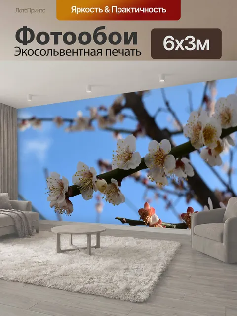 600 × 300 см · Экосольвентная печать