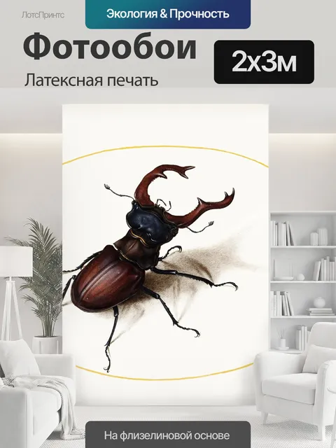 200 × 300 см · Латексная печать