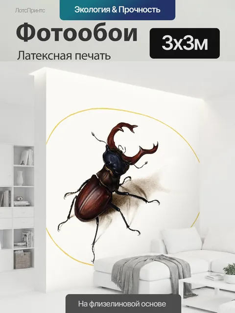 300 × 300 см · Латексная печать