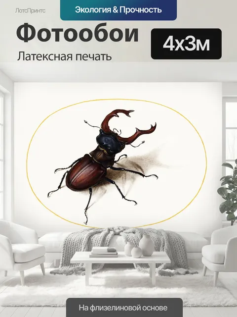 400 × 300 см · Латексная печать