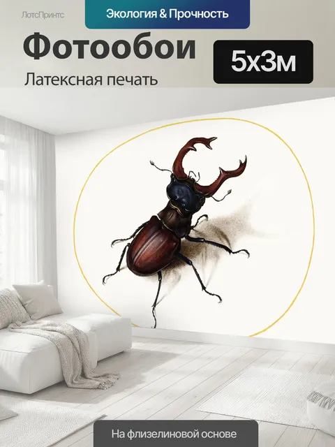 500 × 300 см · Латексная печать