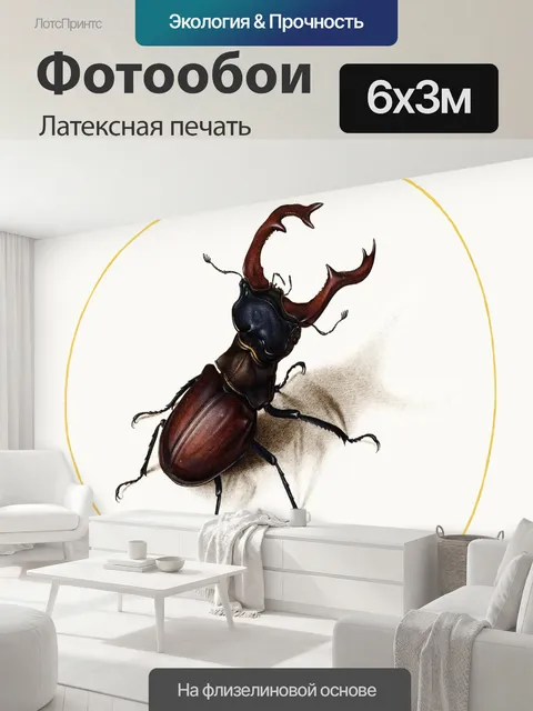 600 × 300 см · Латексная печать