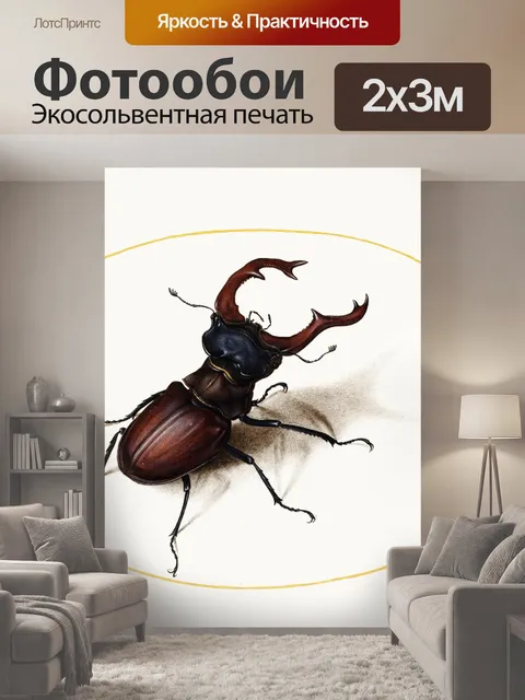 200 × 300 см · Экосольвентная печать