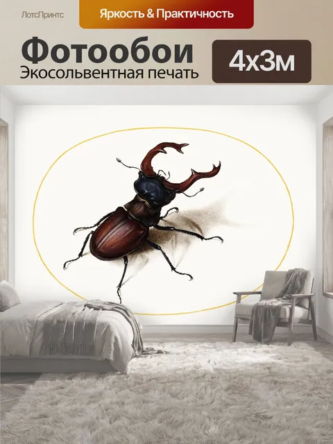 400 × 300 см · Экосольвентная печать