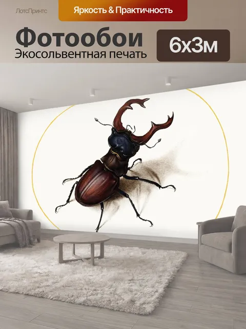 600 × 300 см · Экосольвентная печать