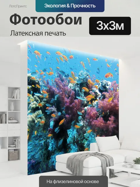 300 × 300 см · Латексная печать