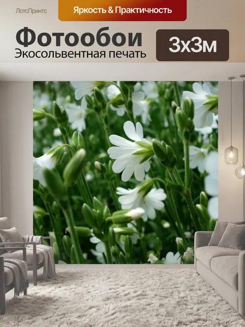 Фотообои Белые цветки, маленькие цветки, цветущая трава