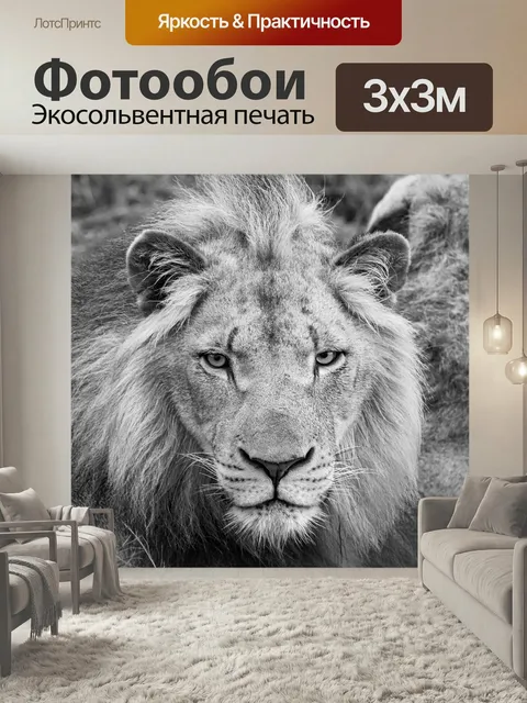 Фотообои Африке, лев, сафари