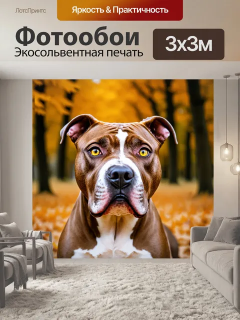 Фотообои Крупный план головы собаки породы амстафорд , пронзительными желто-коричневыми глазами, на размытом фоне осен…