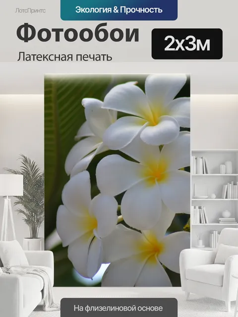 200 × 300 см · Латексная печать