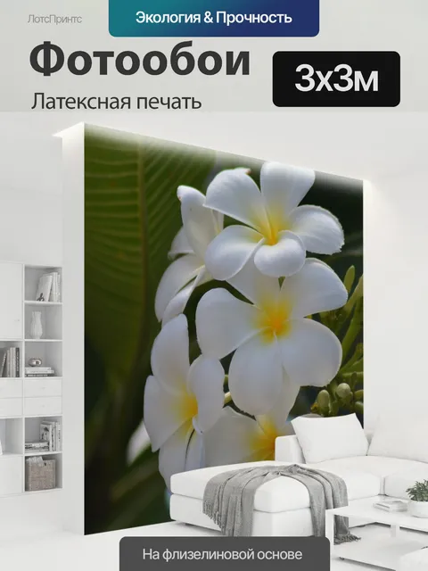 300 × 300 см · Латексная печать