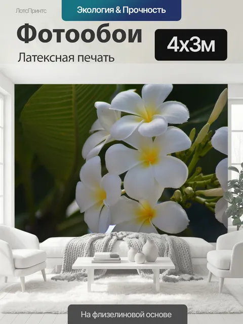 400 × 300 см · Латексная печать