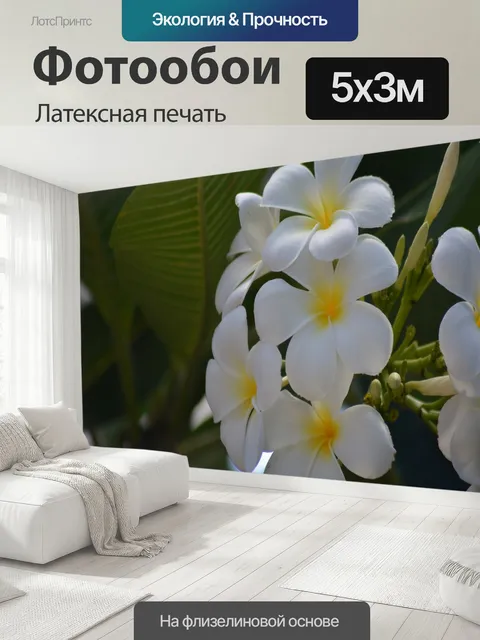 500 × 300 см · Латексная печать