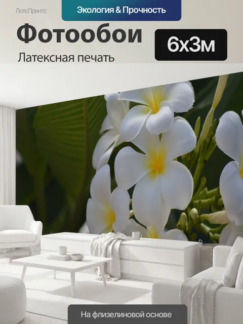 600 × 300 см · Латексная печать