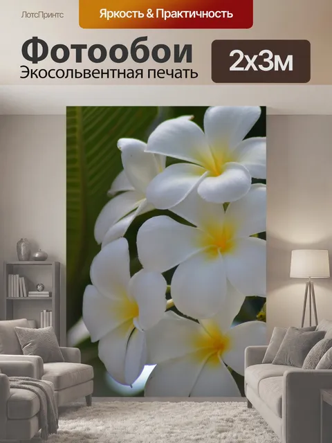 200 × 300 см · Экосольвентная печать