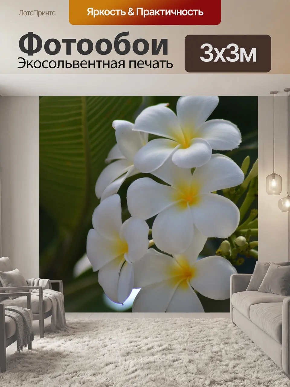 Фотообои Цветы франжипани, плюмерия белая, франжипани